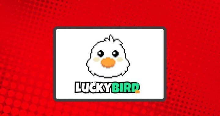 LuckyBird Casino : 100% légal et sécurisé aux États-Unis !